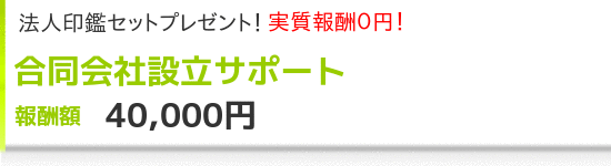 合同会社設立サポート